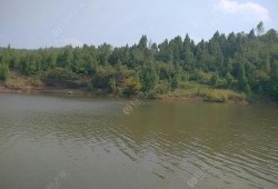 当阳三八水库爆料视频,壮观景色与背后故事