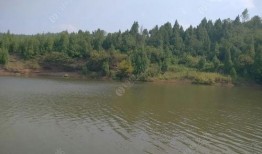 当阳三八水库爆料视频,壮观景色与背后故事