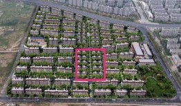 鸿埠园最新爆料消息新闻,揭秘神秘项目背后的惊人真相