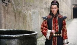 兰陵王46集在线观看,揭秘神秘身世，决战在即