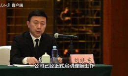 刘伟爆料家暴视频大全最新,视频大全揭示家庭暴力残酷现实