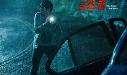 目击者追凶在线观看