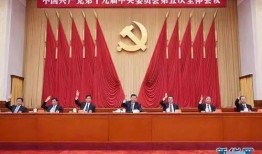 成武五中爆料新闻视频最新