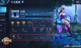 王者爆料博主没视频,神秘博主无视频曝光，内幕揭秘引热议