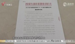 湛江今日关注爆料,揭秘湛江最新热点事件！