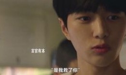 恩菲回来了电视剧全集在线观看,重温情感纠葛，共赴人生旅程