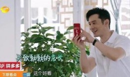 黄晓明爆料杨紫视频事件,真相背后引热议