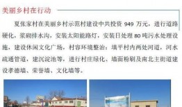 沙河村最新爆料事件,揭秘事件背后惊人真相