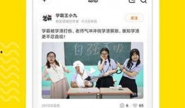 园长爆料幼师视频下载软件,园长亲曝热门软件功能与使用技巧