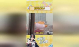 蛋仔今日爆料,揭秘神秘事件背后的真相