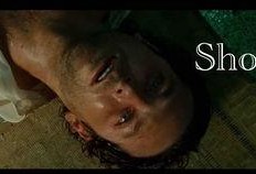 宿醉1 在线观看,一场疯狂的纽约狂欢之旅