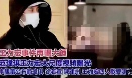 王力宏爆料 视频大全集,揭秘娱乐圈幕后真相
