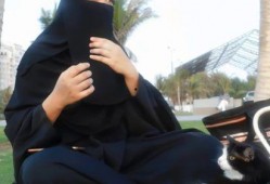 娱乐吃瓜君好好看,揭秘明星幕后故事，带你领略娱乐圈风云变幻