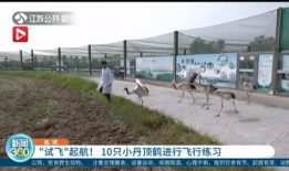 盐城新闻盐城爆料视频最新