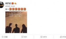 胡彦斌娱乐圈爆料,胡彦斌独家爆料，揭开明星背后的真相