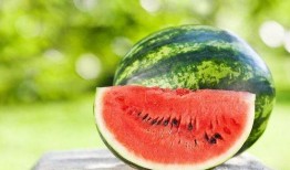 有个免费吃瓜网叫什么来着,揭秘“瓜界”新宠儿的神秘面纱