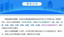 潍坊新闻最新爆料,最新爆料揭示重大事件内幕
