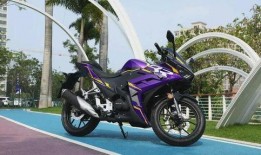 最新国产摩托爆料,最新爆料揭秘未来霸主