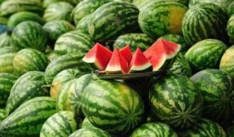 莒县网红吃瓜视频搞笑,笑料百出，欢乐无限