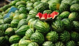 云南网红吃瓜视频下载大全,一网打尽全网热门瞬间