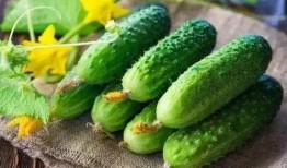 娱乐吃瓜姜,揭秘娱乐圈背后的那些事儿