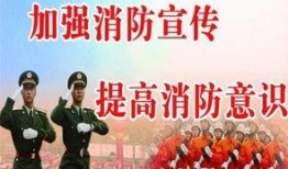 信阳最新消防爆料,火场救援纪实与安全警示并行