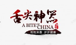 舌尖爆料视频文案素材大全,独家爆料，美食背后的故事与秘密