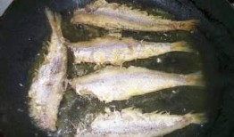 黄鲫子鱼爆料怎么做视频,揭秘视频制作全攻略