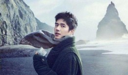 爆料刘昊然陈坤视频播放,幕后真相引热议