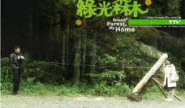 绿光森林在线观看15,探寻奇幻之旅的15个精彩瞬间