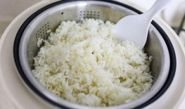 自热米饭爆料视频教程,一招解锁美味新境界