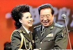 梦鸽爆料李双江视频,真相背后引人深思