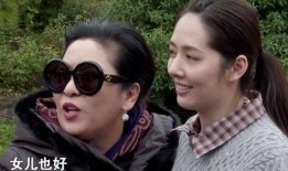 婆媳关系爆料视频大全集,视频大全集深度剖析