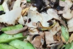 娱乐吃瓜菌中国,揭秘娱乐圈那些不为人知的幕后故事