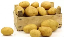 土豆直播网红吃瓜,趣味横生引网友热议