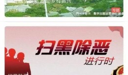 飞鹤最新爆料新闻视频播放,揭秘视频背后的惊人真相