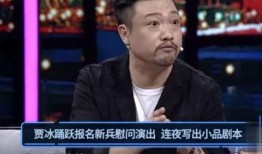 贾冰爆料骗术视频播放下载,视频播放下载背后的陷阱揭秘