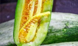 有没有吃网红瓜网站,一网打尽热门话题，带你领略网络热点风云