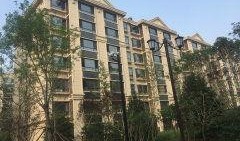 官方爆料枫丹实景视频下载,官方爆料带你领略梦幻仙境