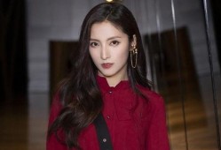 李玟姐姐再次爆料视频大全,视频大全揭秘幕后真相