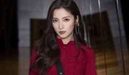 李玟姐姐再次爆料视频大全,视频大全揭秘幕后真相