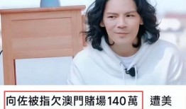 网红爆料郑铁头视频播放,揭秘幕后故事与惊人播放量