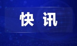 湖北热点新闻爆料视频,揭秘最新爆料视频背后的真相