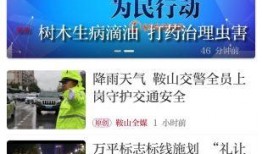 鞍山新闻爆料大师,揭秘爆料大师背后的故事
