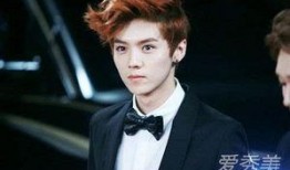 今日八卦爆料鹿晗被打,娱乐圈新八卦事件引发热议