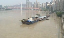 重庆洪水最新爆料新闻