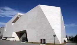 山东美术馆爆料事件视频,视频揭露惊人内幕