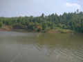 当阳三八水库爆料视频,壮观景色与背后故事