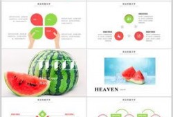 网红吃瓜软件ppt,PPT背后的热门话题与现象解析