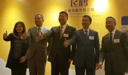 飞鹤最新爆料新闻视频播放,揭秘视频背后的惊人真相